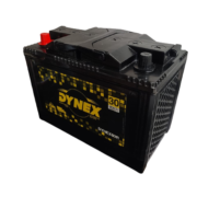 Nagpur Price for Dynex Battery