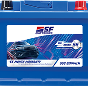 Kushaq Petrol SF Battery